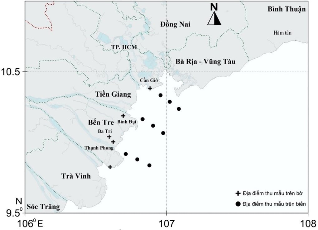 Vẻ ngoài kỳ dị của loài cá lần đầu tiên ghi nhận ở Việt Nam - 1