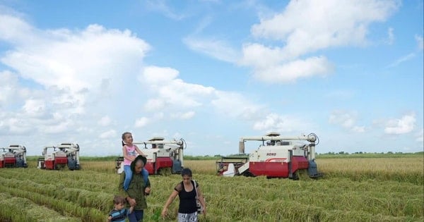 VTV special "Seeds of Happiness" broadcast simultaneously in Vietnam and Cuba