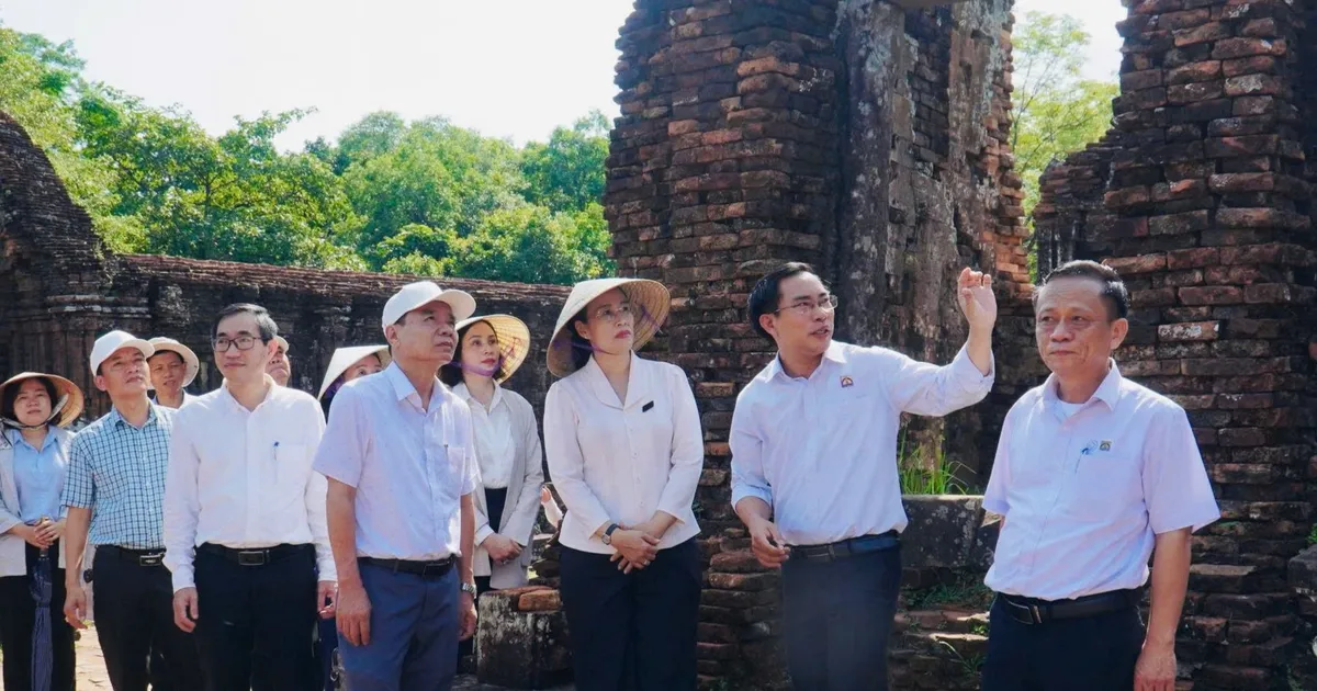 Da Nang speeds up planning to preserve and promote the value of My Son Sanctuary