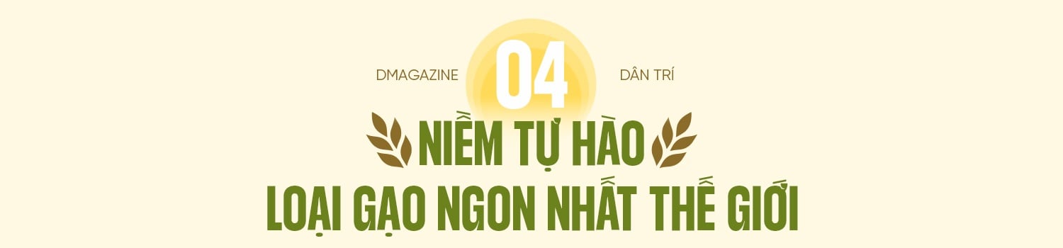 80 năm cây lúa Việt: Từ nạn đói 1945 đến hạt gạo ngon nhất thế giới - 15