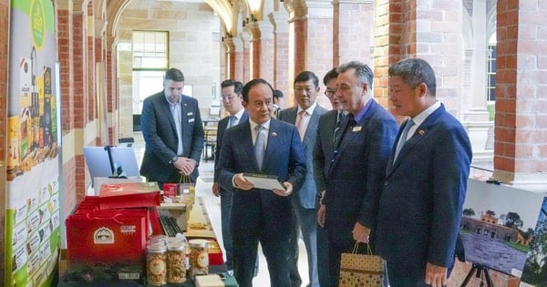 Hội chợ thương hiệu hàng xuất khẩu Việt Nam năm 2025 - nơi kết nối hợp tác, giao thương