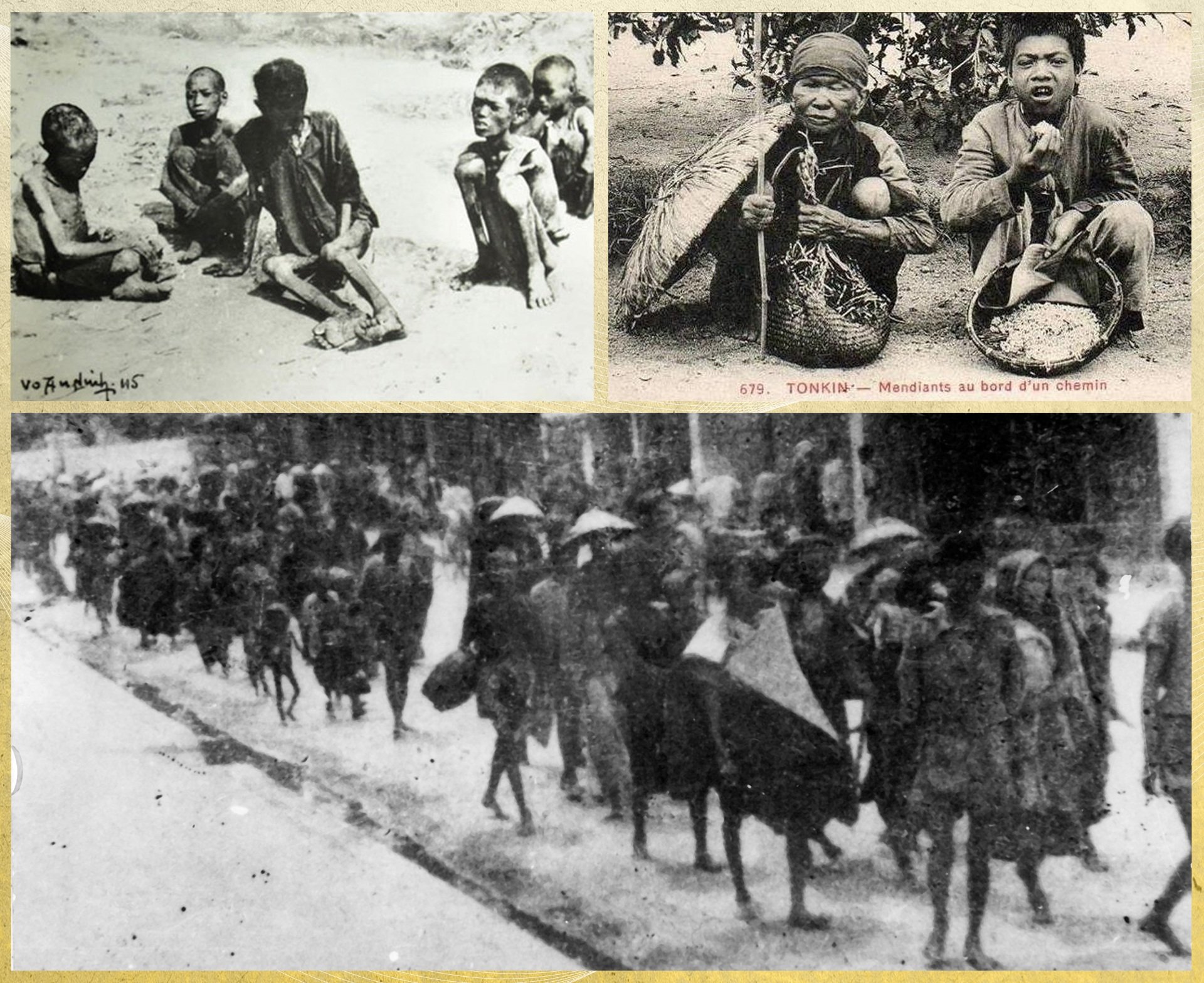 80 năm cây lúa Việt: Từ nạn đói 1945 đến hạt gạo ngon nhất thế giới - 5