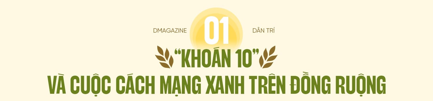 80 năm cây lúa Việt: Từ nạn đói 1945 đến hạt gạo ngon nhất thế giới - 3