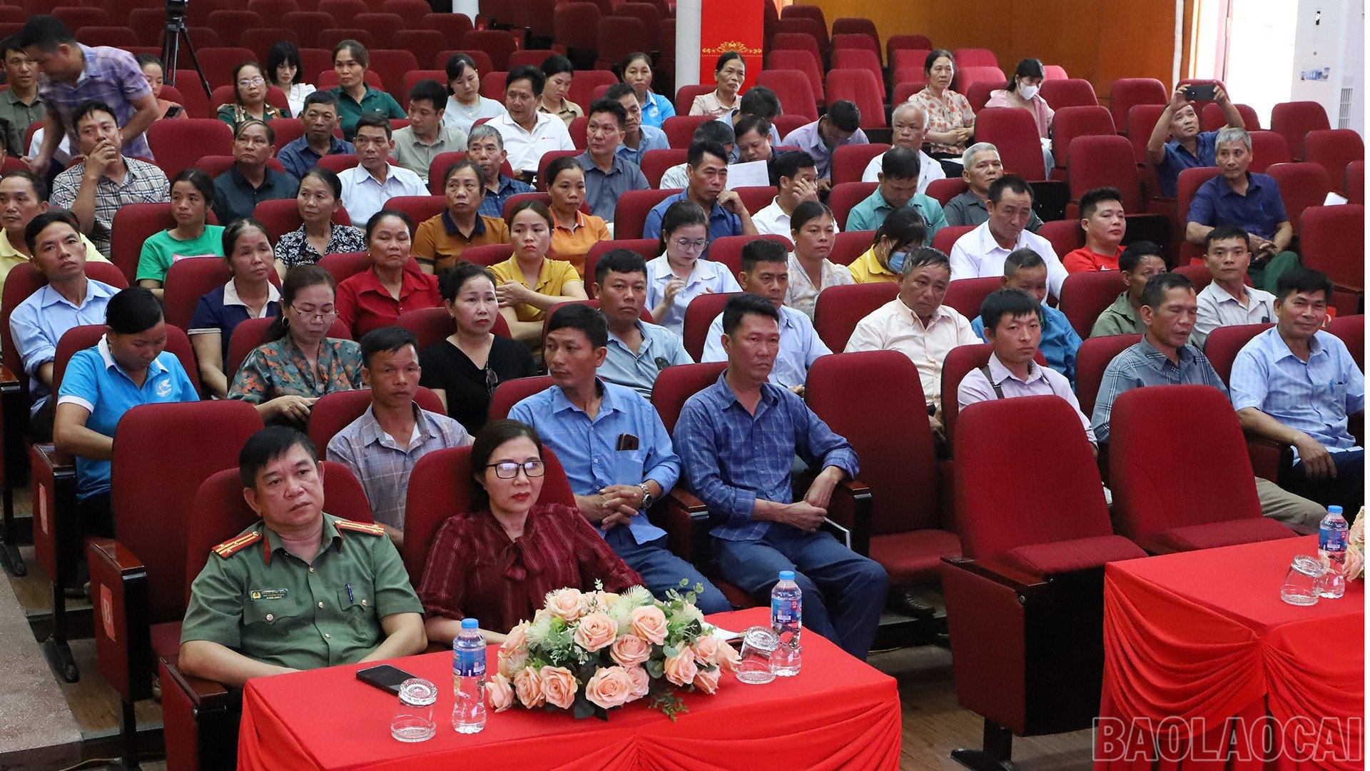 baolaocai-br_20-8-b-at-xat2.jpg