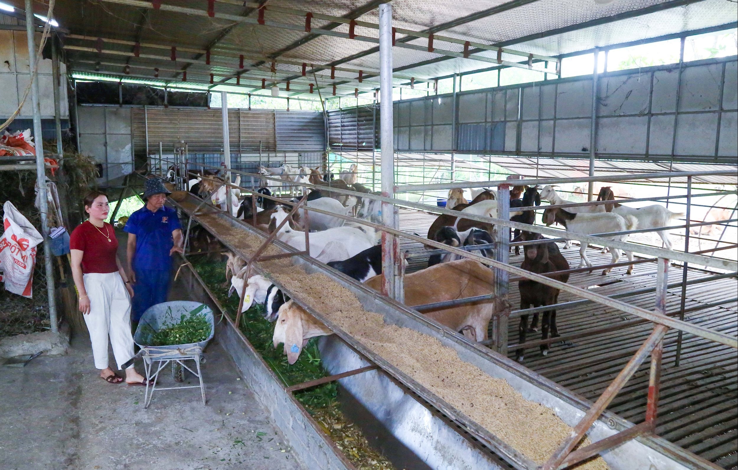 Farm economy: Stable thanks to prevention rather than cure