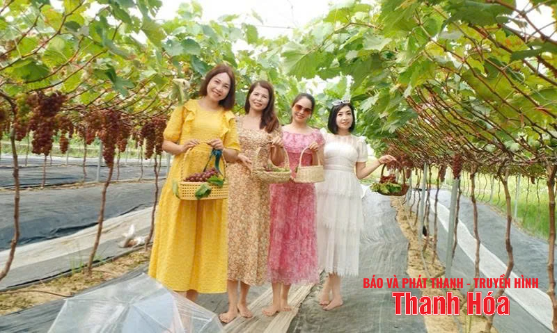 ទិសដៅថ្មីក្នុងការធ្វើពិពិធកម្មដំណាំ