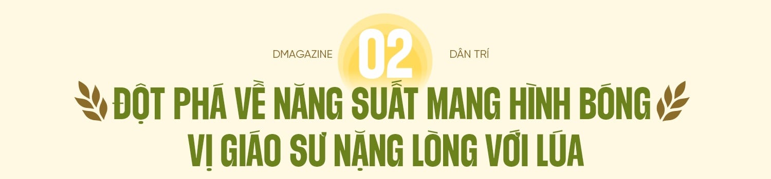 80 năm cây lúa Việt: Từ nạn đói 1945 đến hạt gạo ngon nhất thế giới - 7