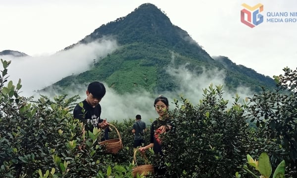 Xã Hải Sơn: Xây dựng nông thôn mới nâng cao, hiện đại