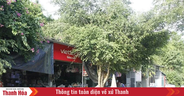 Xã biên giới Mường Chanh chủ động hàng hóa thiết yếu trong mùa mưa bão