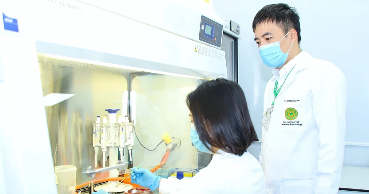 Không thể thiếu liêm chính học thuật