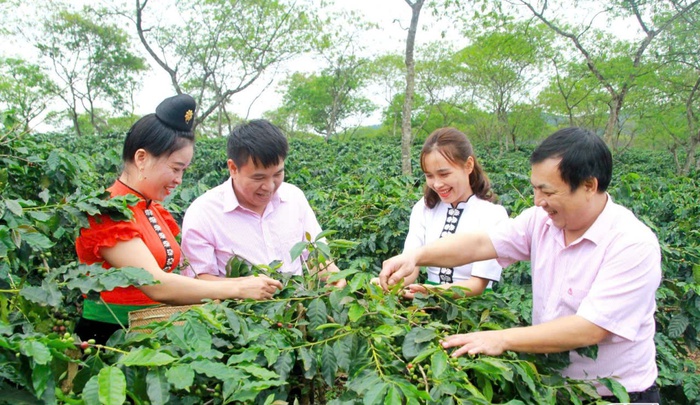 Chuyển mình từ những mô hình nông nghiệp ứng dụng công nghệ cao- Ảnh 4.