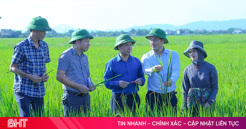 Proactively prevent diseases in crops and livestock