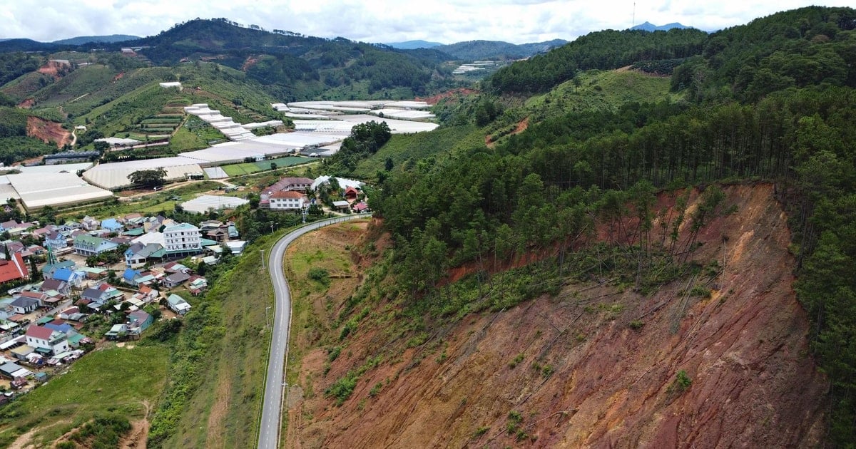 String up ropes and put up warning signs on the pine hill at risk of landslides next to residential areas.