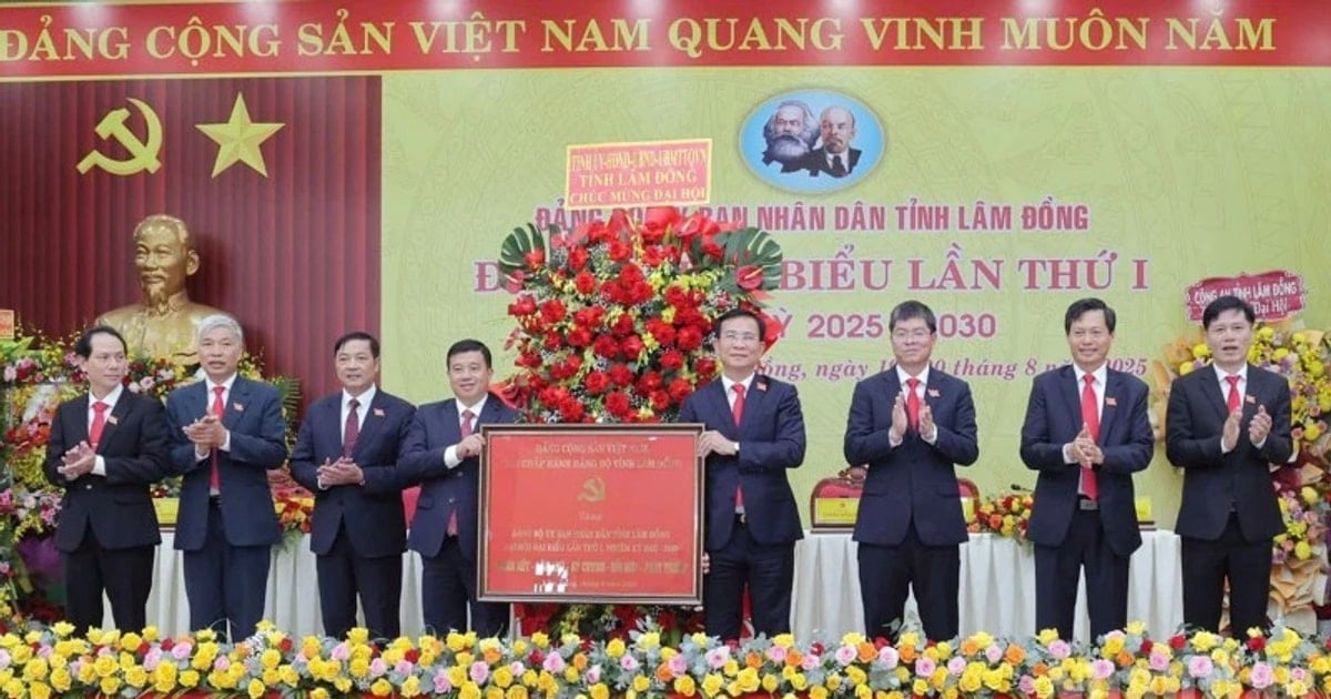 Nghiên cứu, đề xuất các cơ hội và nguồn lực để Lâm...