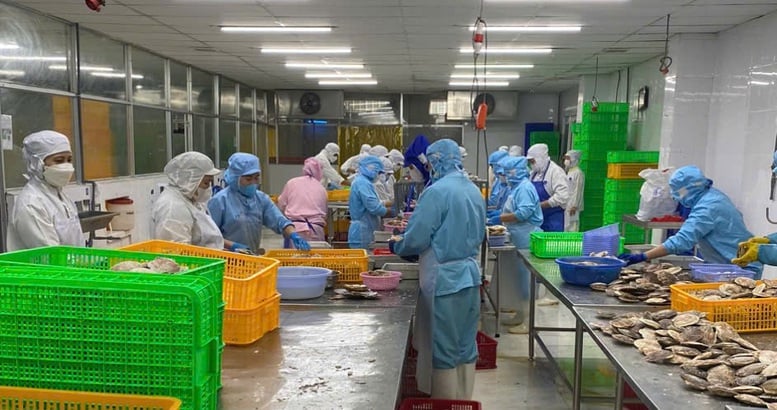 Cơ hội và thách thức cho nông sản Vệt trước 'khoảng trống' tại thị trường EU- Ảnh 1.