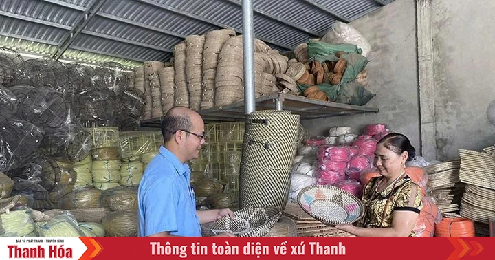 Operational efficiency of the Cooperative Development Support Fund