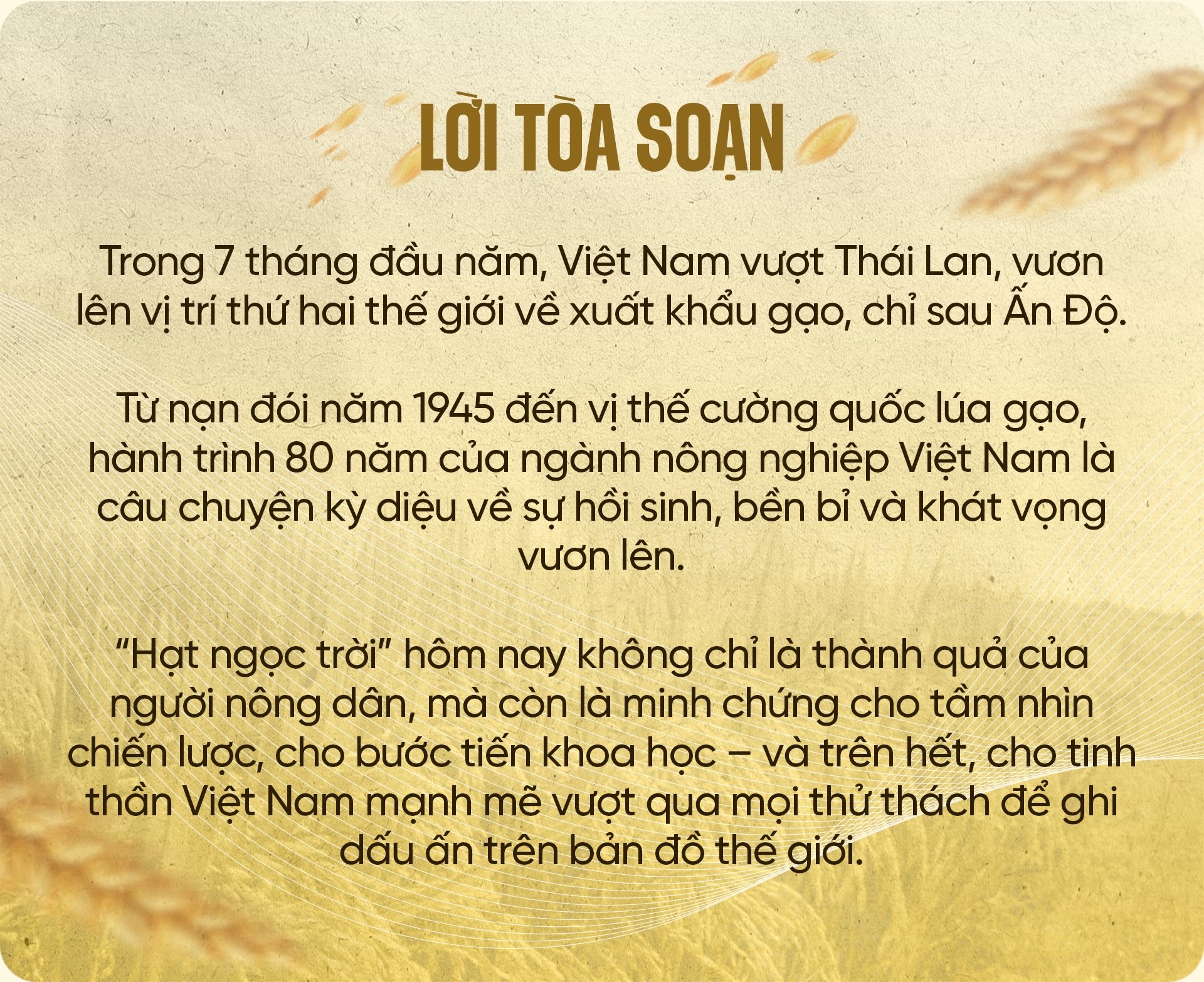 80 năm cây lúa Việt: Từ nạn đói 1945 đến hạt gạo ngon nhất thế giới - 1