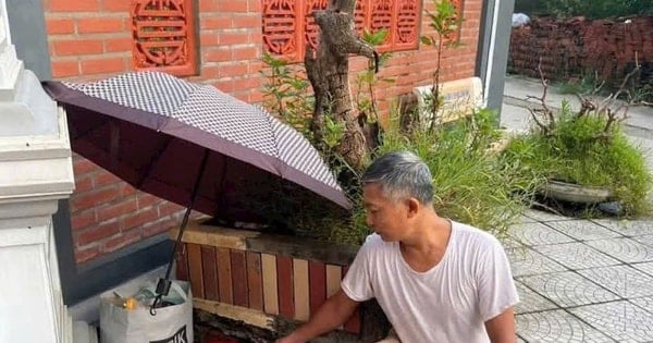 핫몬 마을은 중린사 앞에 버려진 신생아 2명에 대한 소식을 발표했습니다.