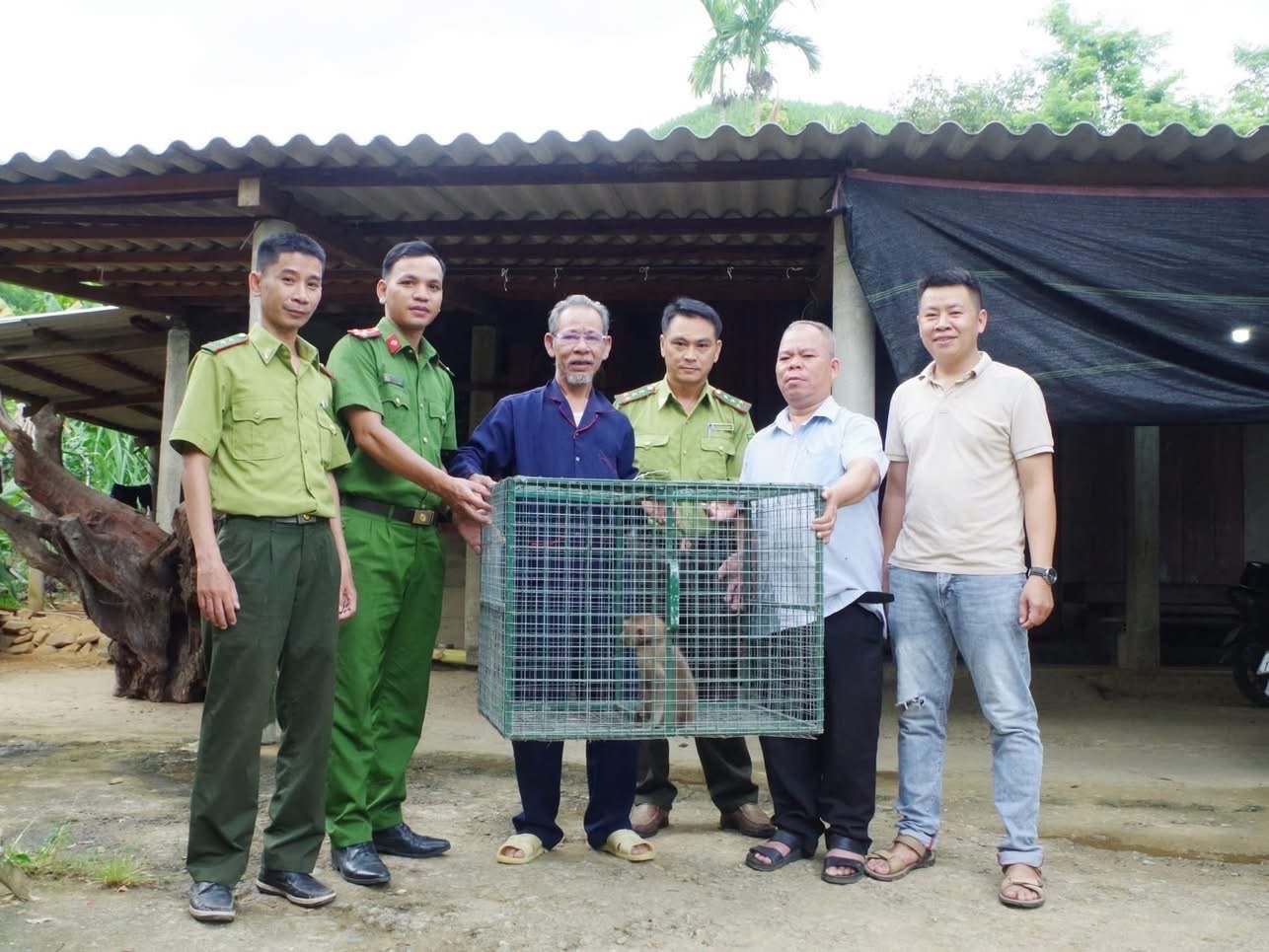 UBND xã Long Quảng phối hợp tiếp nhận 1 cá thể khỉ đuôi lợn