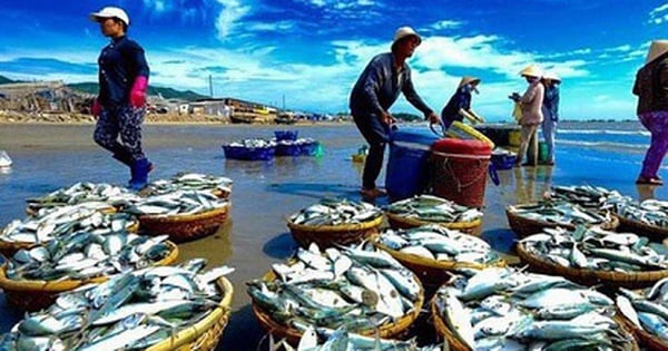 Thúc đẩy tiêu thụ thủy sản nội địa để cân bằng phát triển