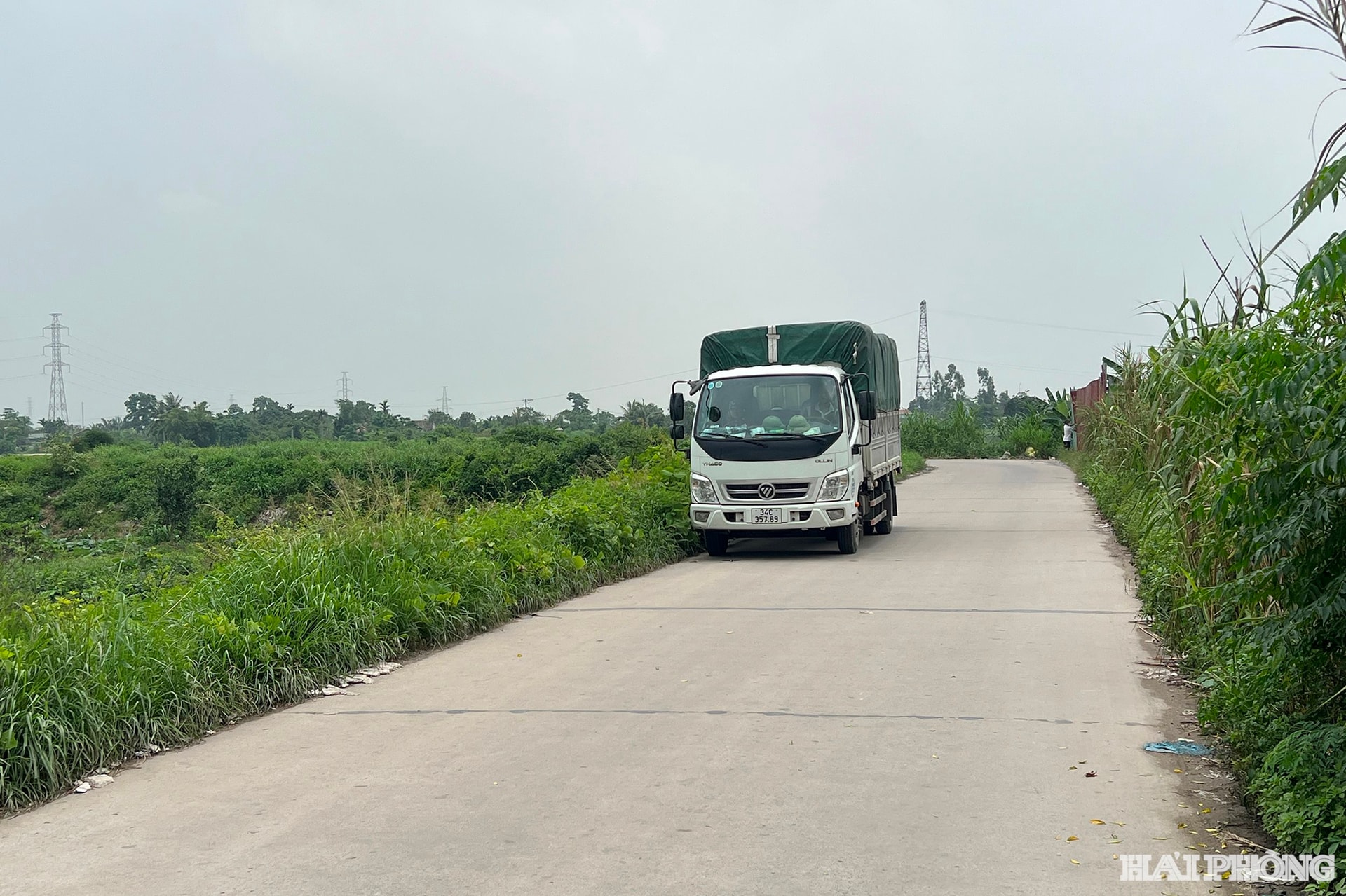 cong Ga1