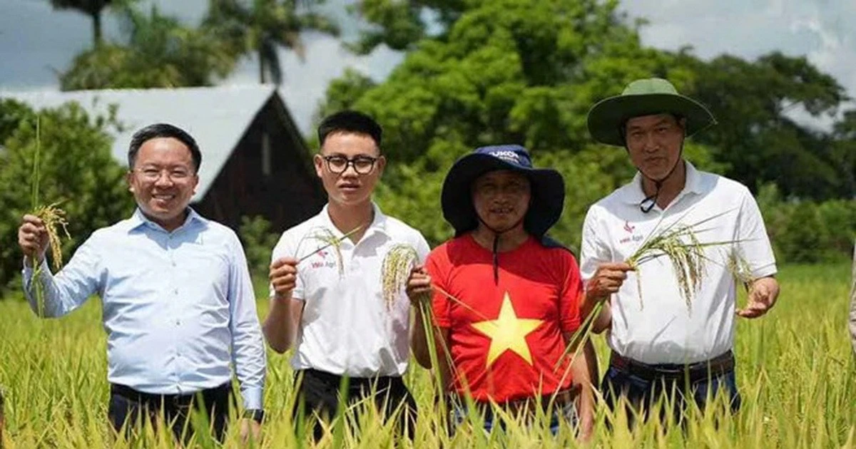 VTV1 và Đài Truyền hình Cuba phát sóng đồng thời phim “Hạt giống hạnh phúc”