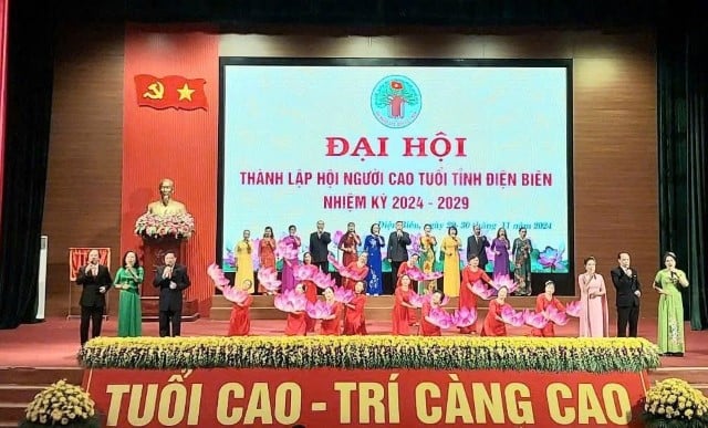 تنفيذ الاستراتيجية الوطنية لكبار السن حتى عام 2035، برؤية 2045