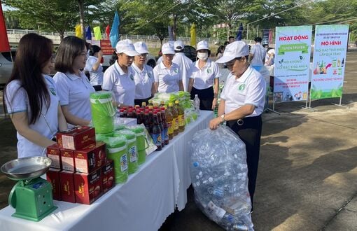Limit plastic waste - towards a green environment