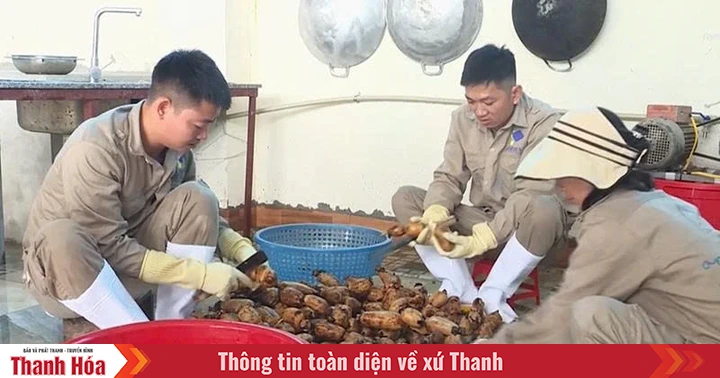 Đẩy mạnh chế biến sâu để nâng cao giá trị nông sản