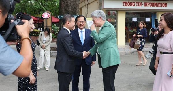 Deputy Prime Minister Bui Thanh Son and Australian Foreign Minister Penny Wong visit the National Museum of History