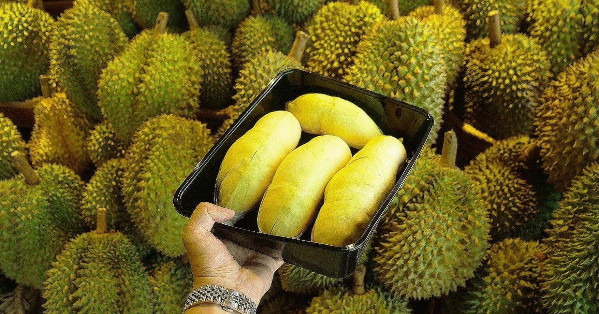 Durian price today August 21: Thai durian price increases dramatically