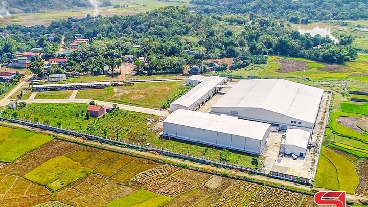 ពន្លឿនការបញ្ចប់ហេដ្ឋារចនាសម្ព័ន្ធចង្កោមឧស្សាហកម្ម