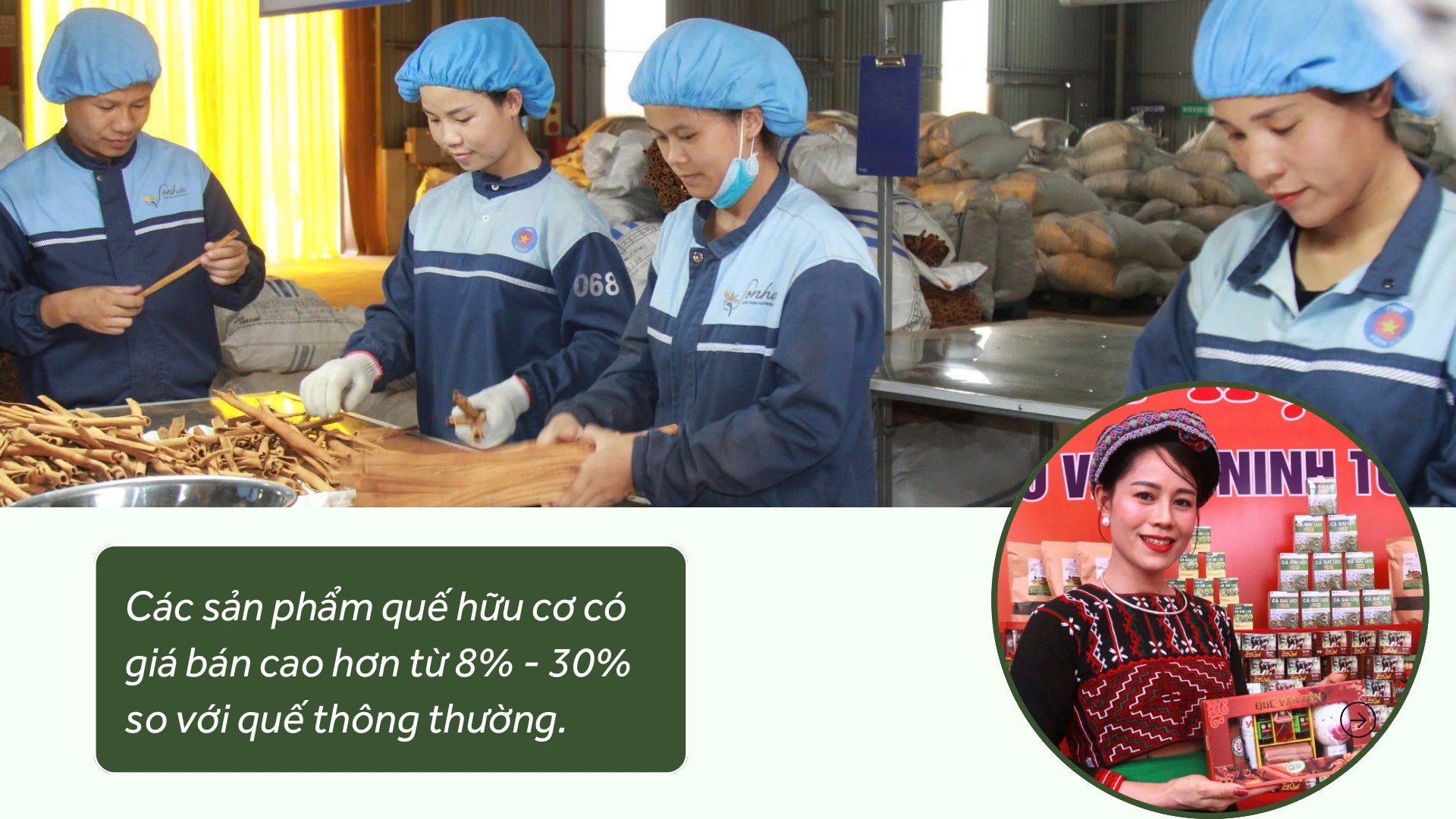 bao-ve-moi-truong-8803.jpg