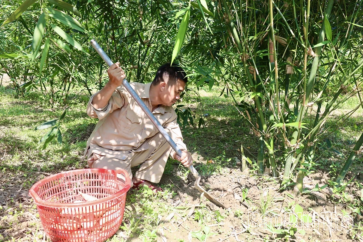 Unike Luc Truc bambusskudd