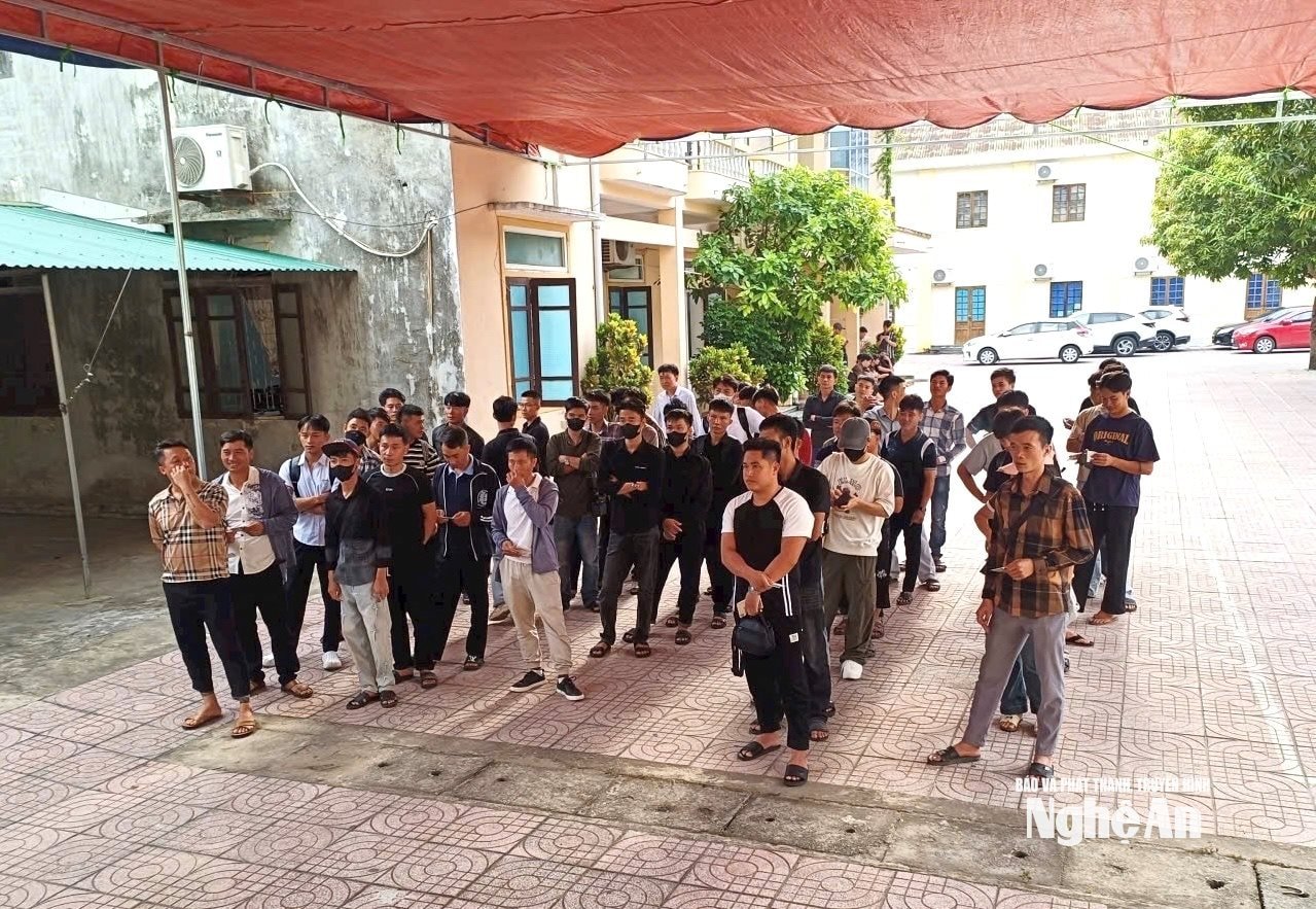  Lao động đang ký