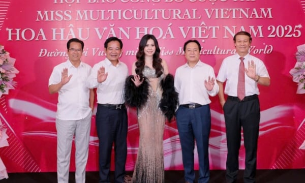 Why do so many actors judge beauty pageants?