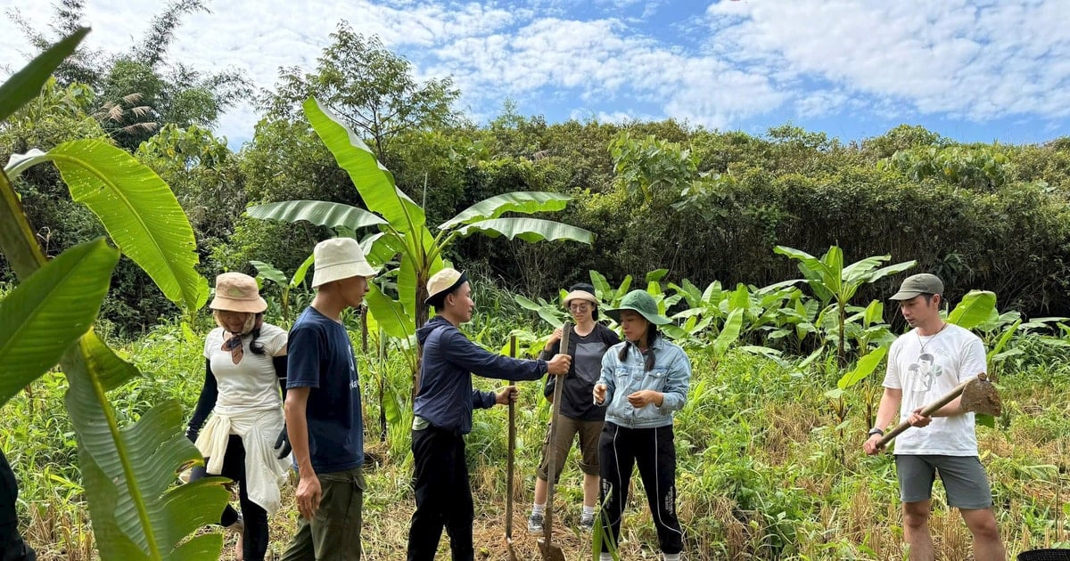 Cultivando semillas verdes para el futuro en la aldea de Aur
