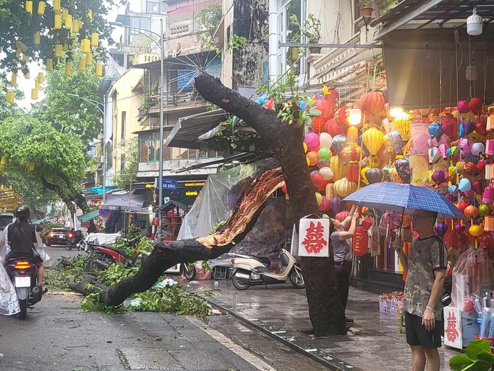 Tiếc nuối những 