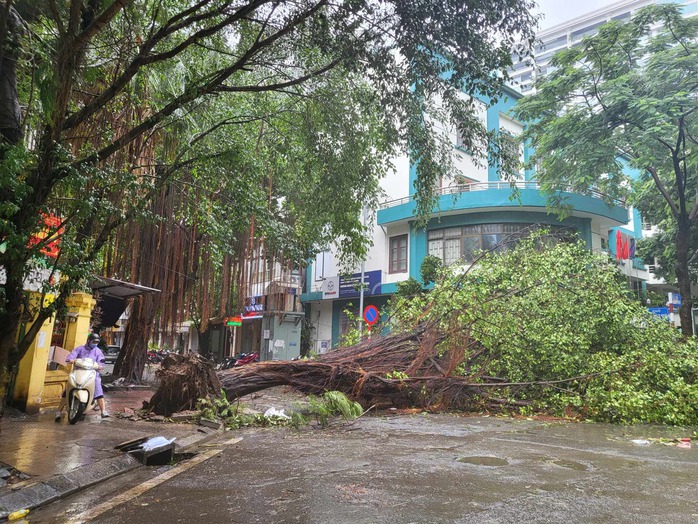 Tiếc nuối những 