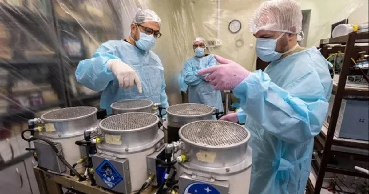Russia sends 75 mice and 1,500 fruit flies to participate in space experiment