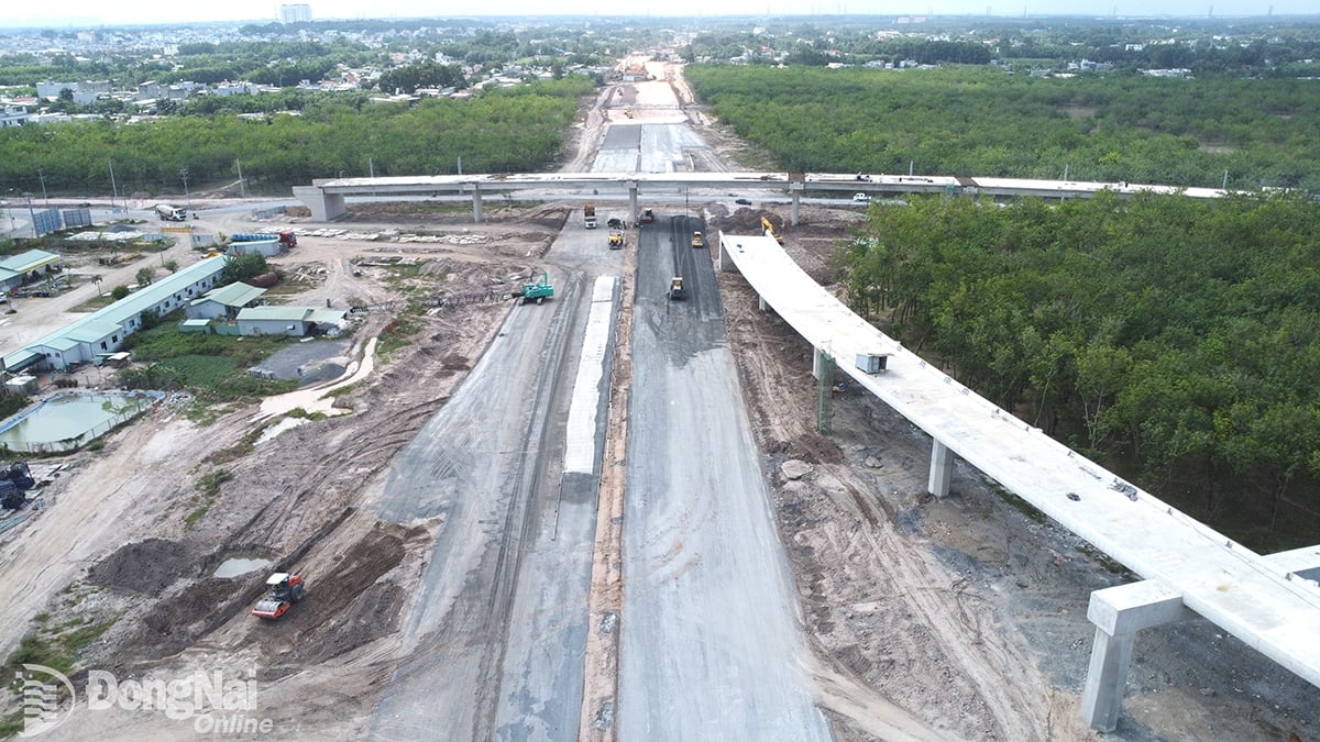 Send provincial officials to support local areas in site clearance