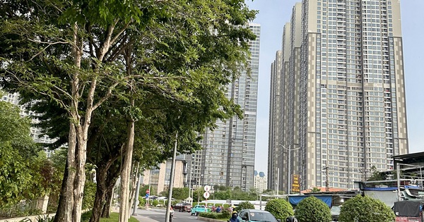 Bất động sản Hà Nội và TP HCM tăng giá mạnh: Cơ hội đầu tư hấp dẫn