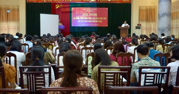 Tập huấn phát triển năng lực lồng ghép giới, thúc đẩy bình đẳng giới