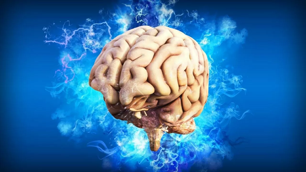 Viễn cảnh điều trị bệnh thần kinh bằng cách chỉnh sửa não người