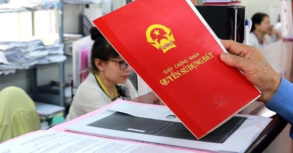 Ký hiệu 'T' trên Giấy chứng nhận là loại đất gì?