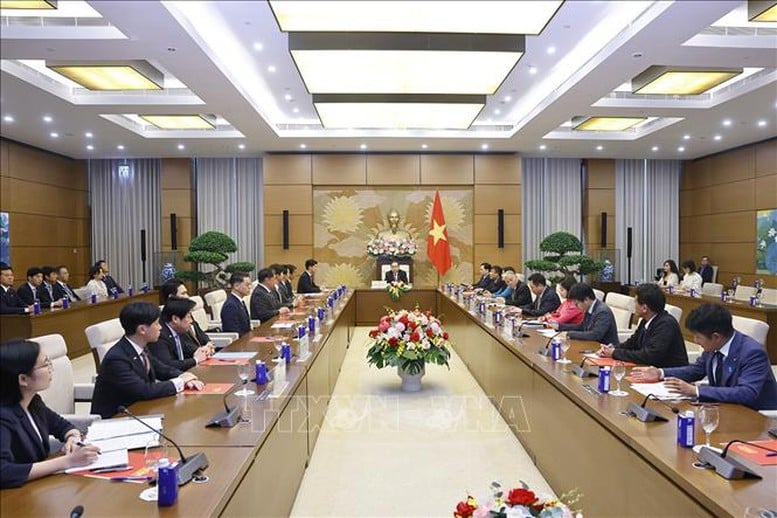 Chủ tịch Quốc hội Trần Thanh Mẫn tiếp Đoàn Ban Thanh niên Đảng Dân chủ Tự do Nhật Bản- Ảnh 3.
