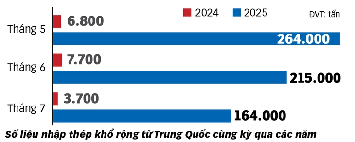 thép khổ rộng - Ảnh 2.