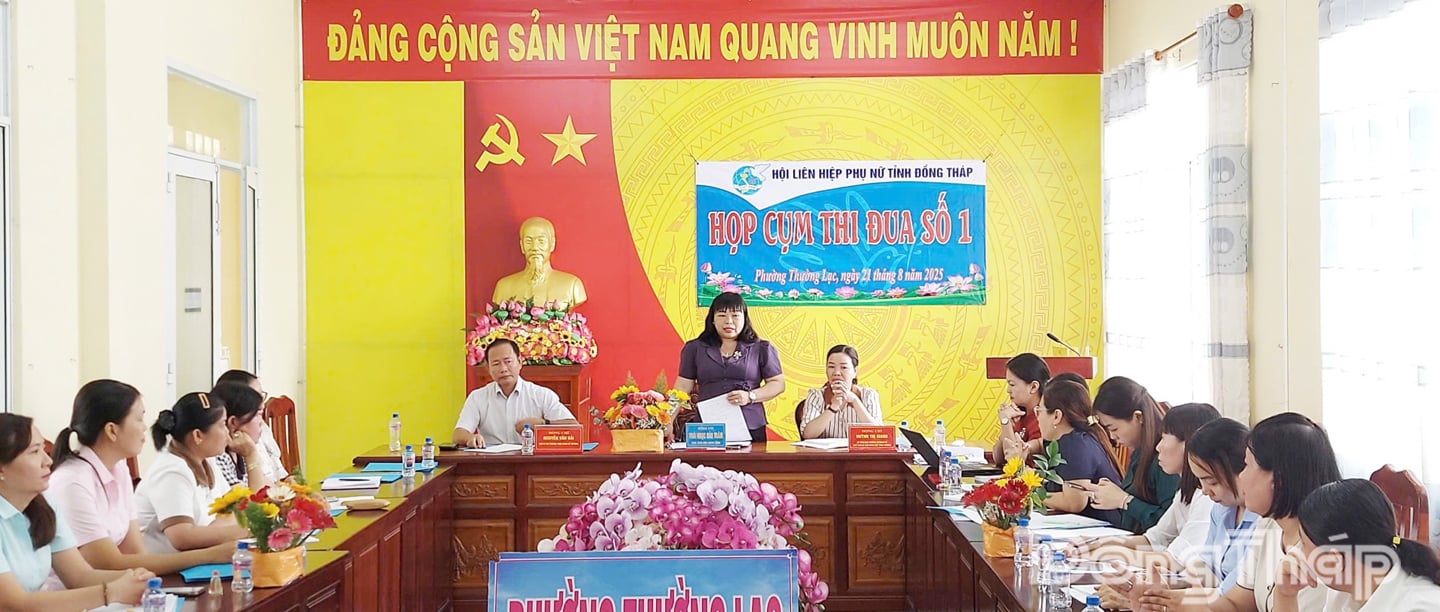 Union des femmes de la province de Dong Thap : Tous les niveaux de l'Union doivent soutenir le capital pour que les femmes puissent développer des modèles économiques
