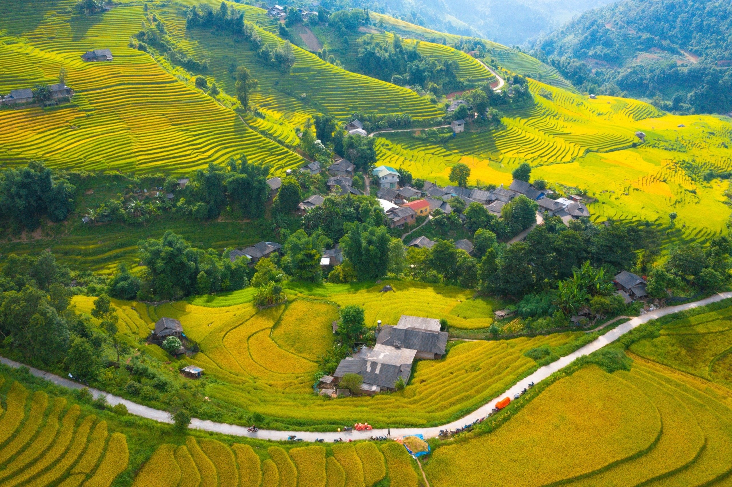 Giải mã gen tìm tầm vóc của cây lúa Việt trong kỷ nguyên mới - 13