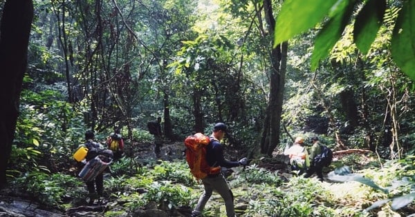 Ninh Bình: Kiểm soát chặt chẽ hoạt động trekking sau vụ du khách tử vong trong rừng Cúc Phương